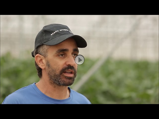 Ein Tag im Leben eines israelischen Landwirts